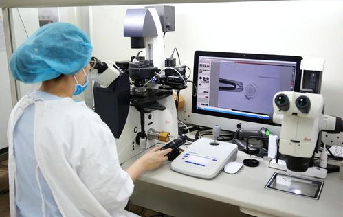 走進海外輔助生殖BRG的背后 以技術服務共展生殖新愿景——浙江實踐