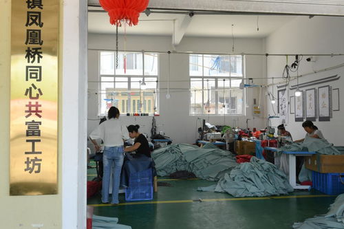 村里建起“沒有圍墻的工廠”——浙江臨?！肮哺还し弧币约夹g服務助力農民家門口就業增收