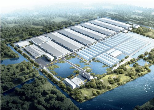 浙江千噸級南美白對蝦工廠化養殖場 融合兩大全球先進技術，引領產業新篇章